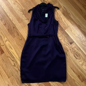 NWT plum colored knee length dress